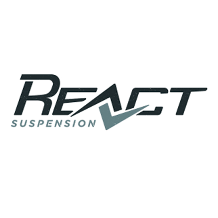 React Suspension